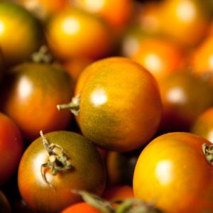 tomate-camone-de-sardaigne