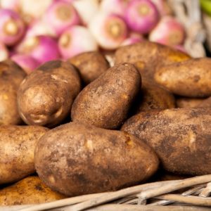 pomme-de-terre-agria