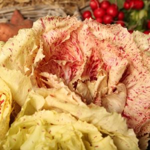 salade-castel-franco