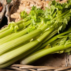 celeri-branche-feuille
