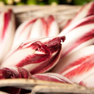 endive-rouge
