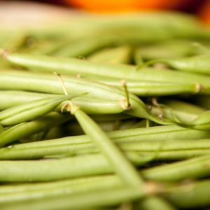 haricot-vert-boby