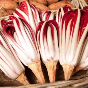 radicchio-rosso