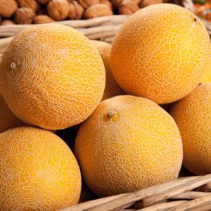 melon-galia