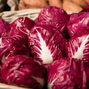 chicoree-rouge-de-verone