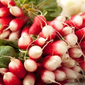 radis-rouge-et-blanc
