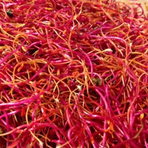 germe-de-betterave-bio