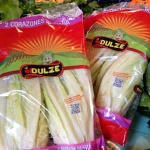 coeur-de-laitue-romaine