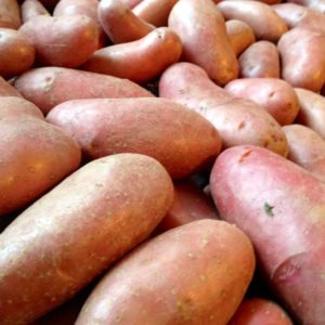 pomme-de-terre-rouge-cherie
