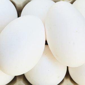 Oeuf blanc frais