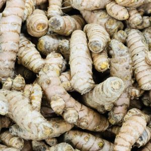 Curcuma