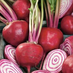Betterave chioggia