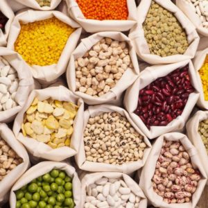 Légumineuses
